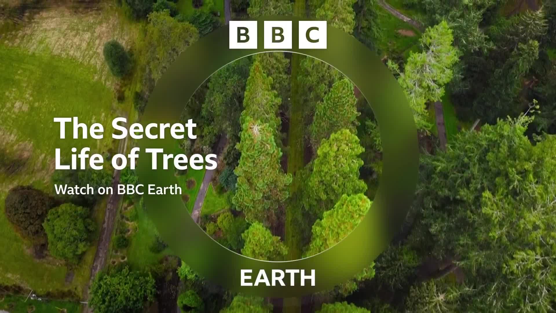 BBCEarth
