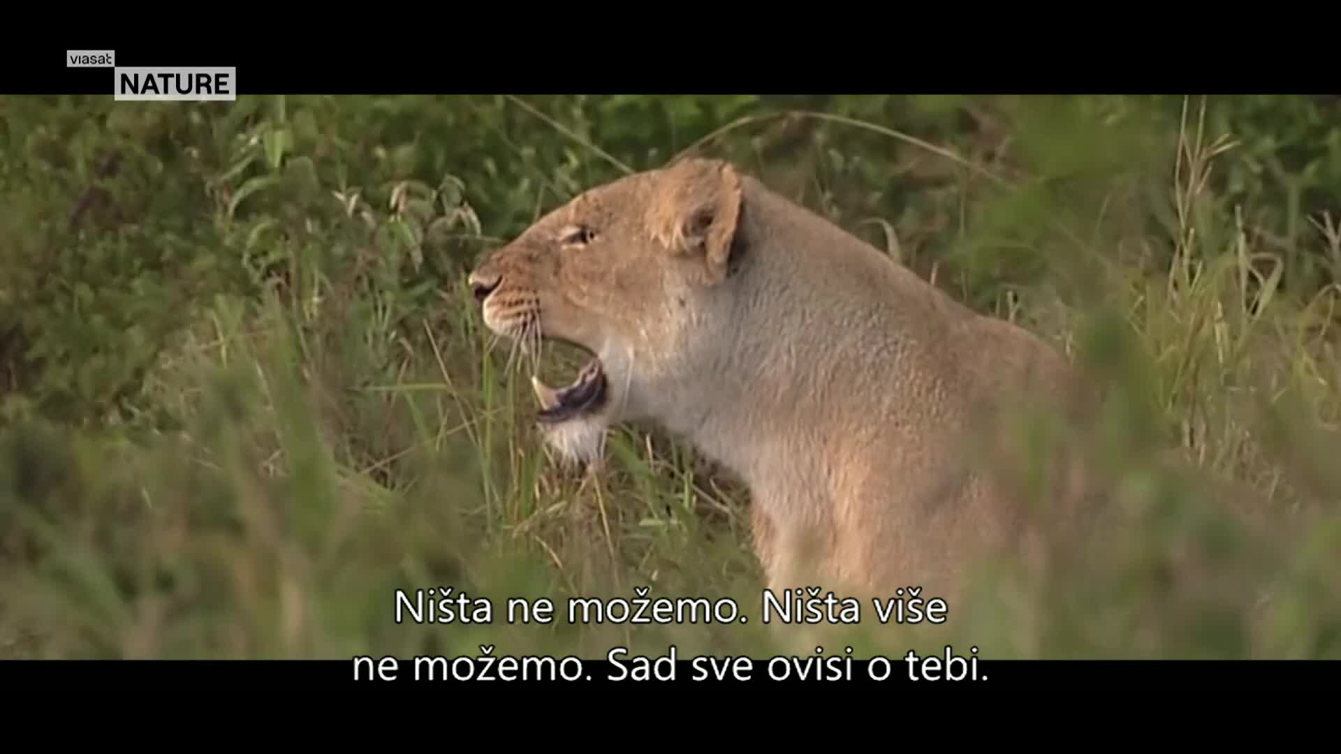 ViasatNature