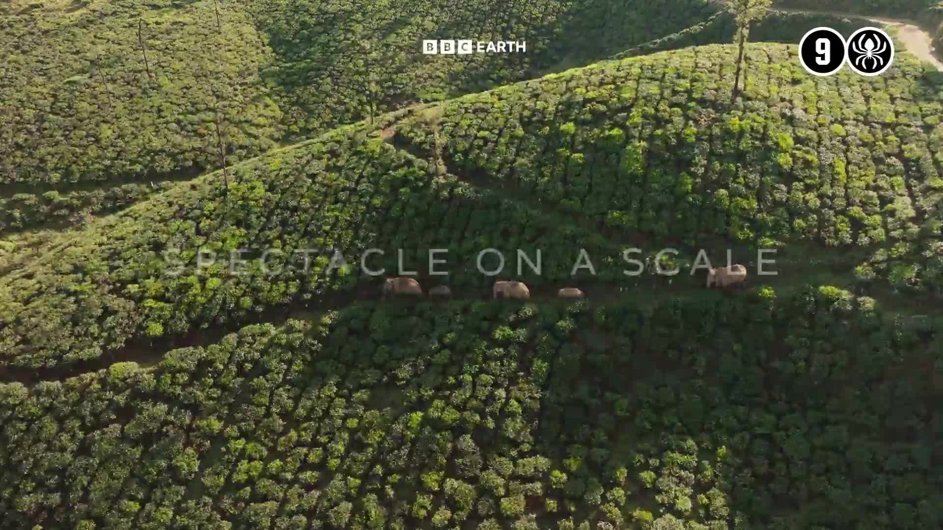 BBCEarth