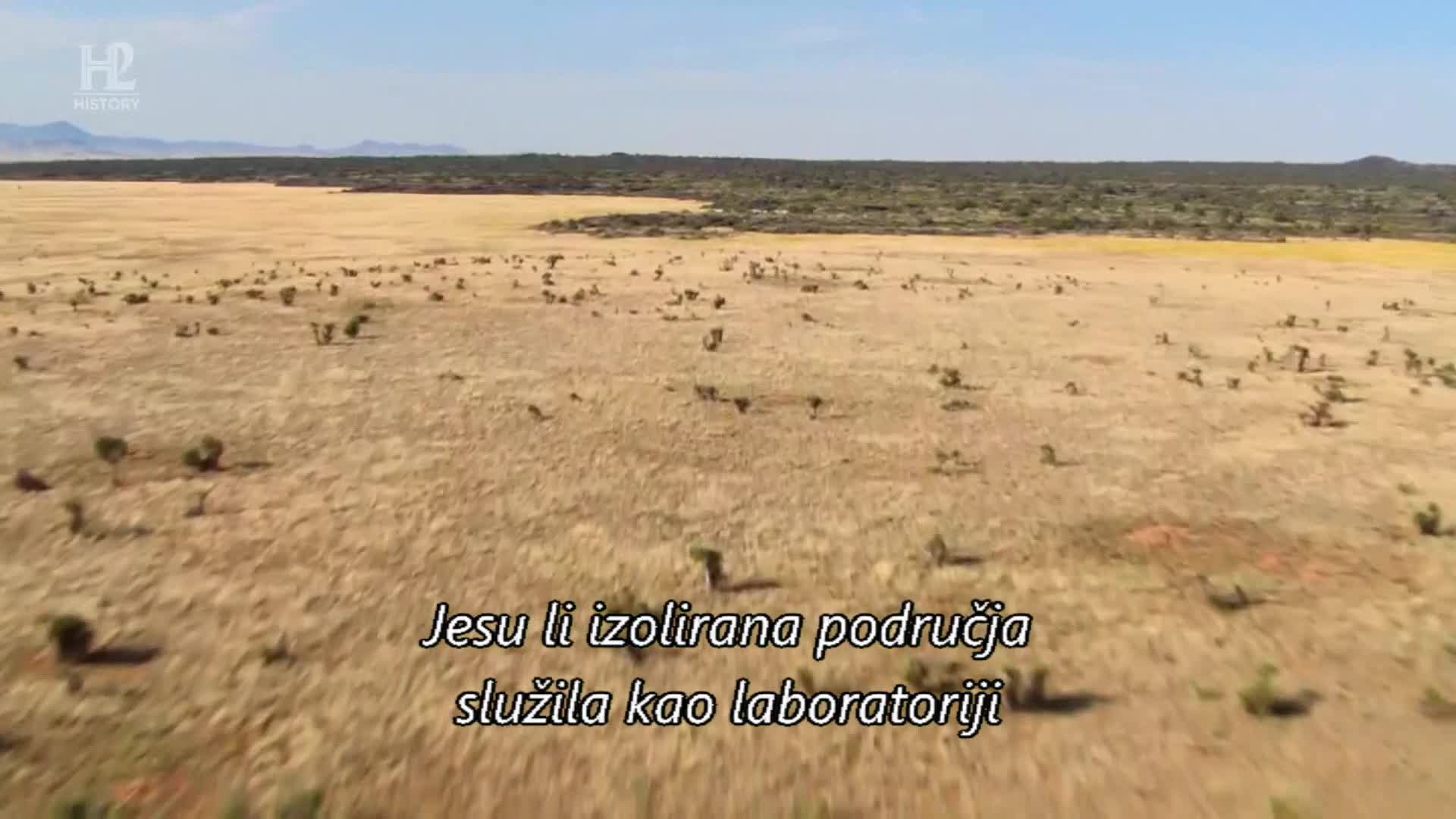 History2