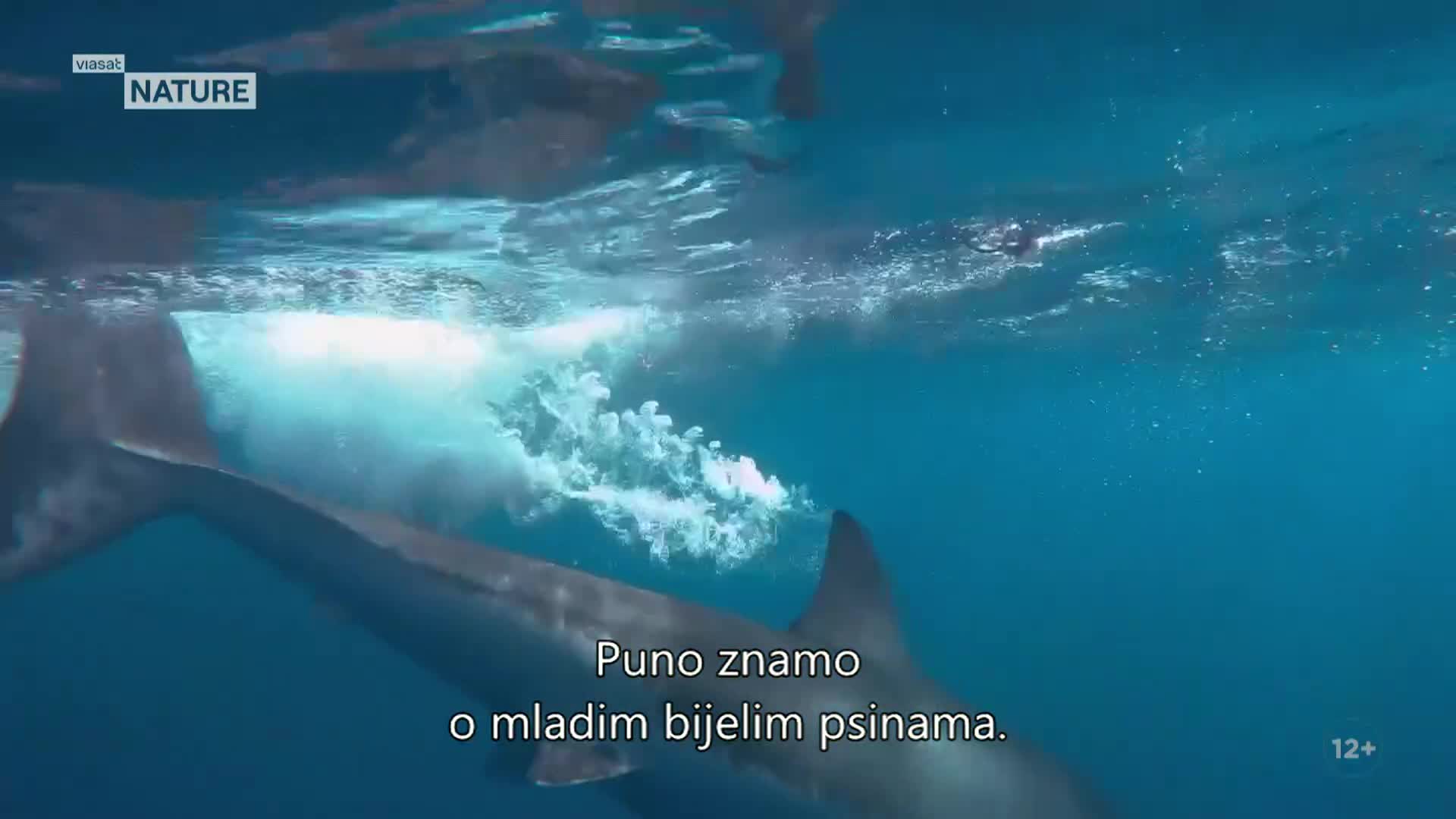 ViasatNature