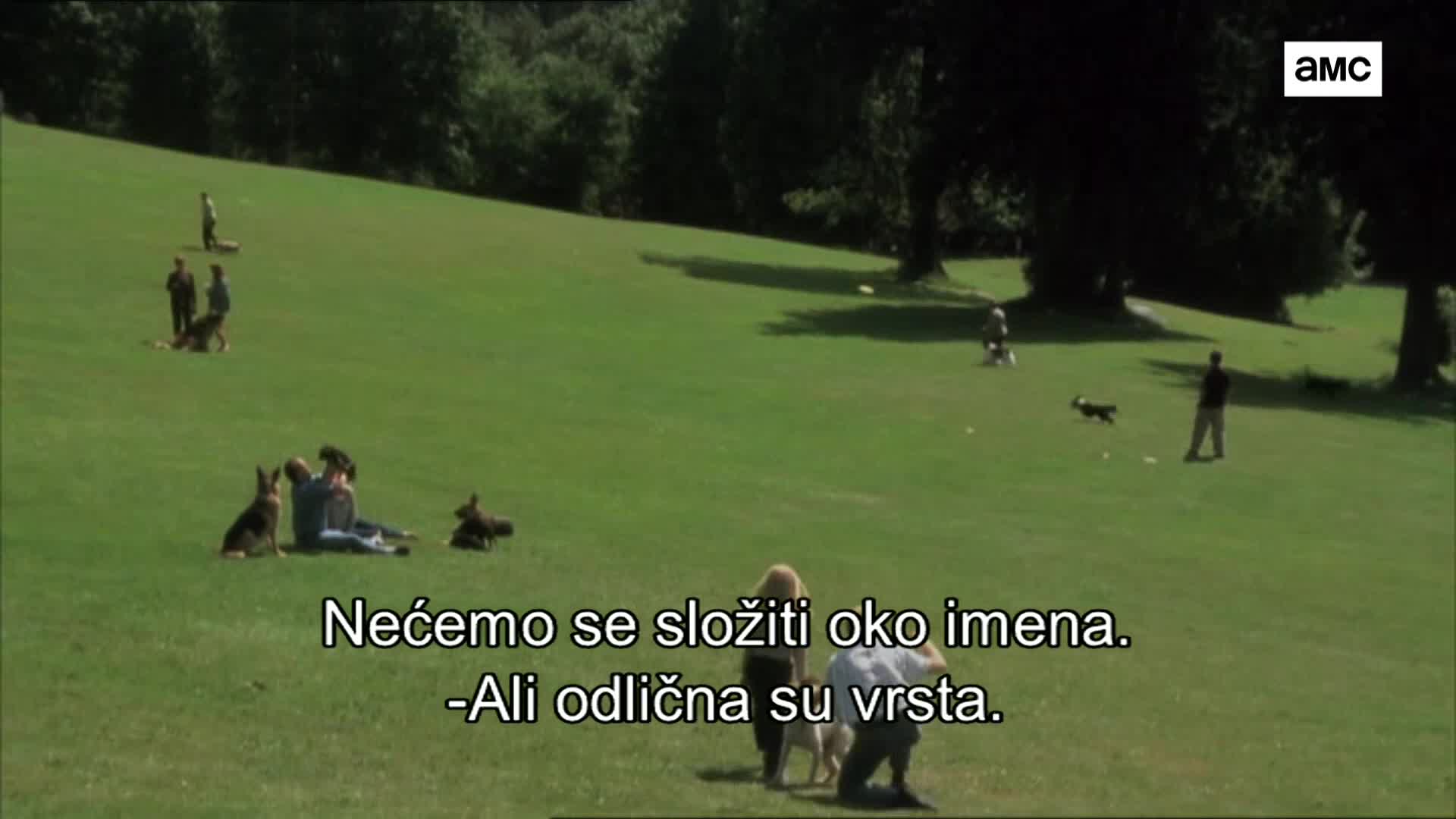 AMCHD
