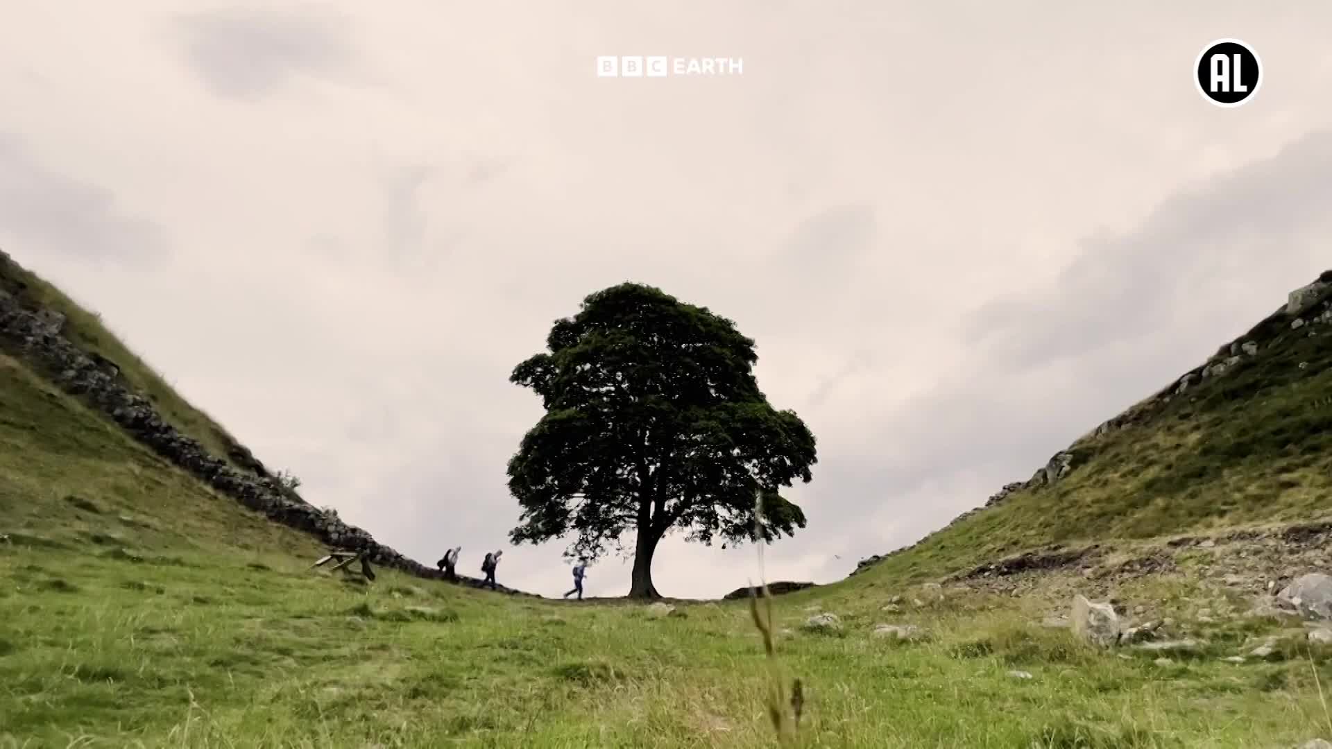 BBCEarth