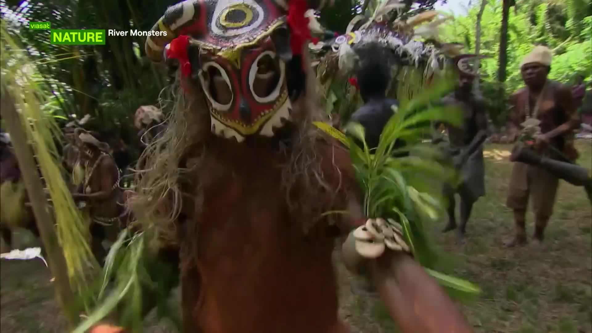 ViasatNature
