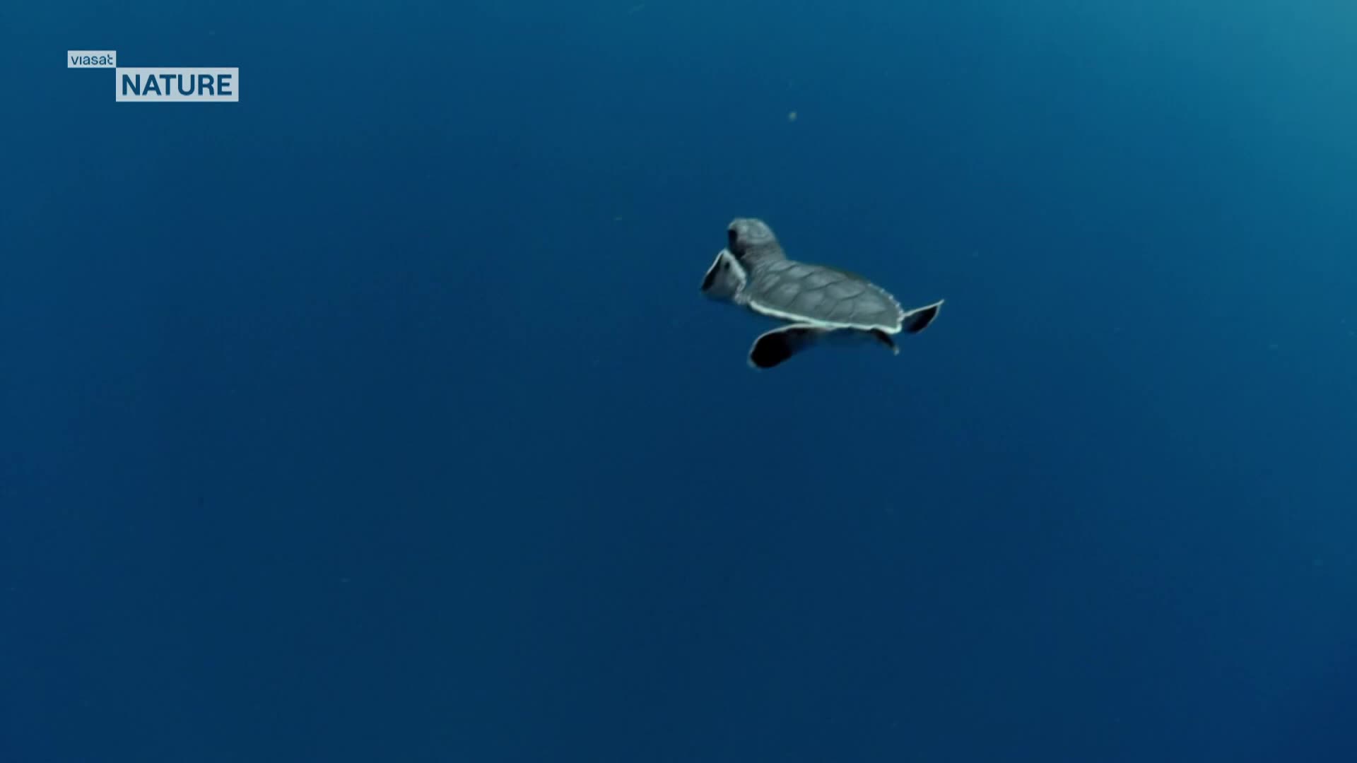 ViasatNature