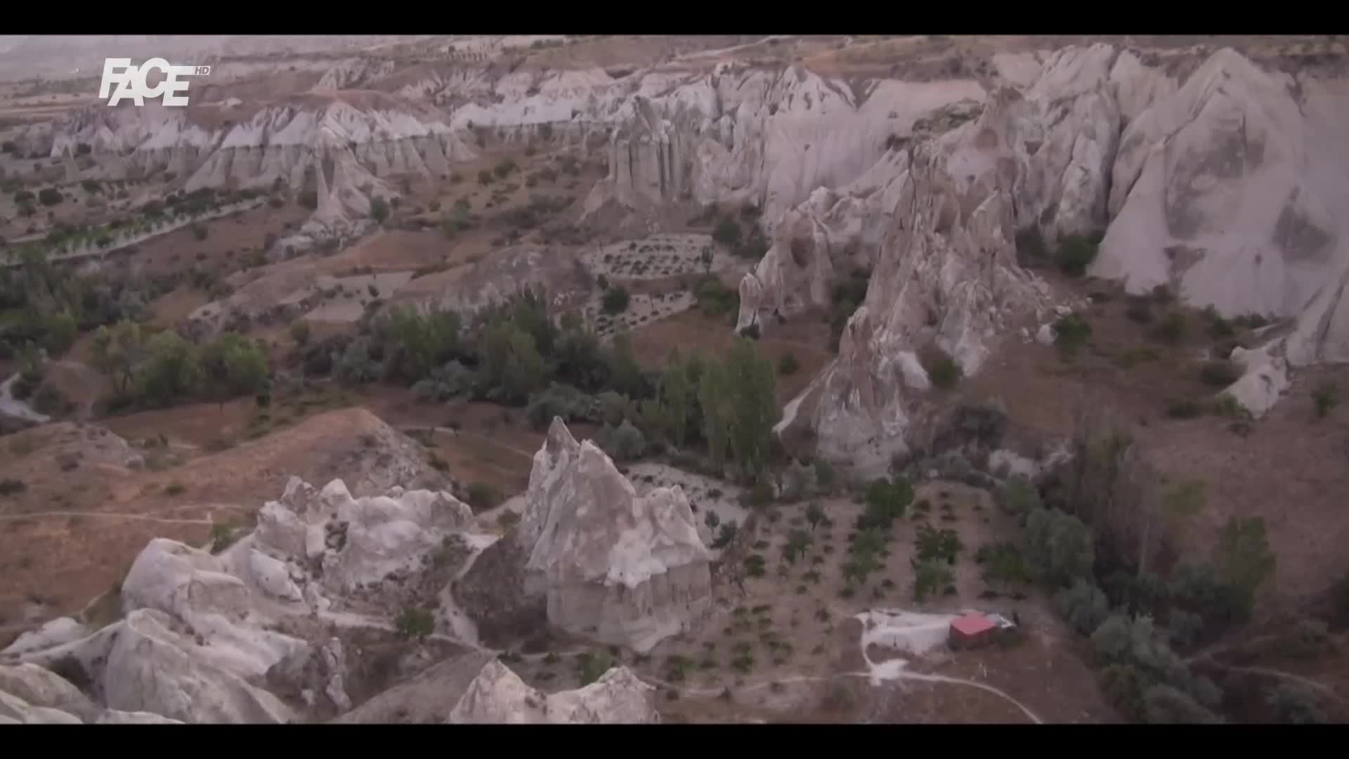 FaceTV