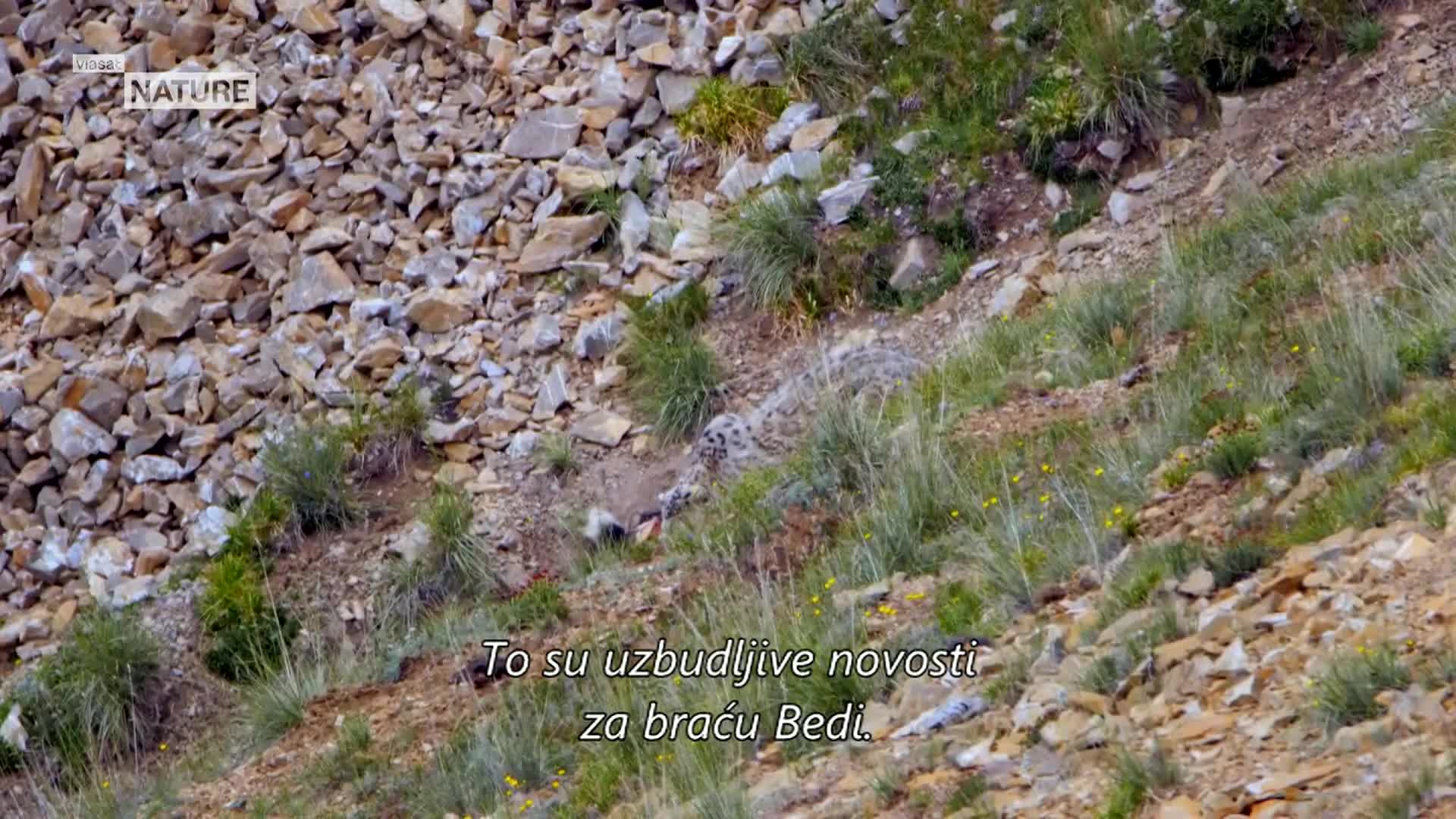 ViasatNature