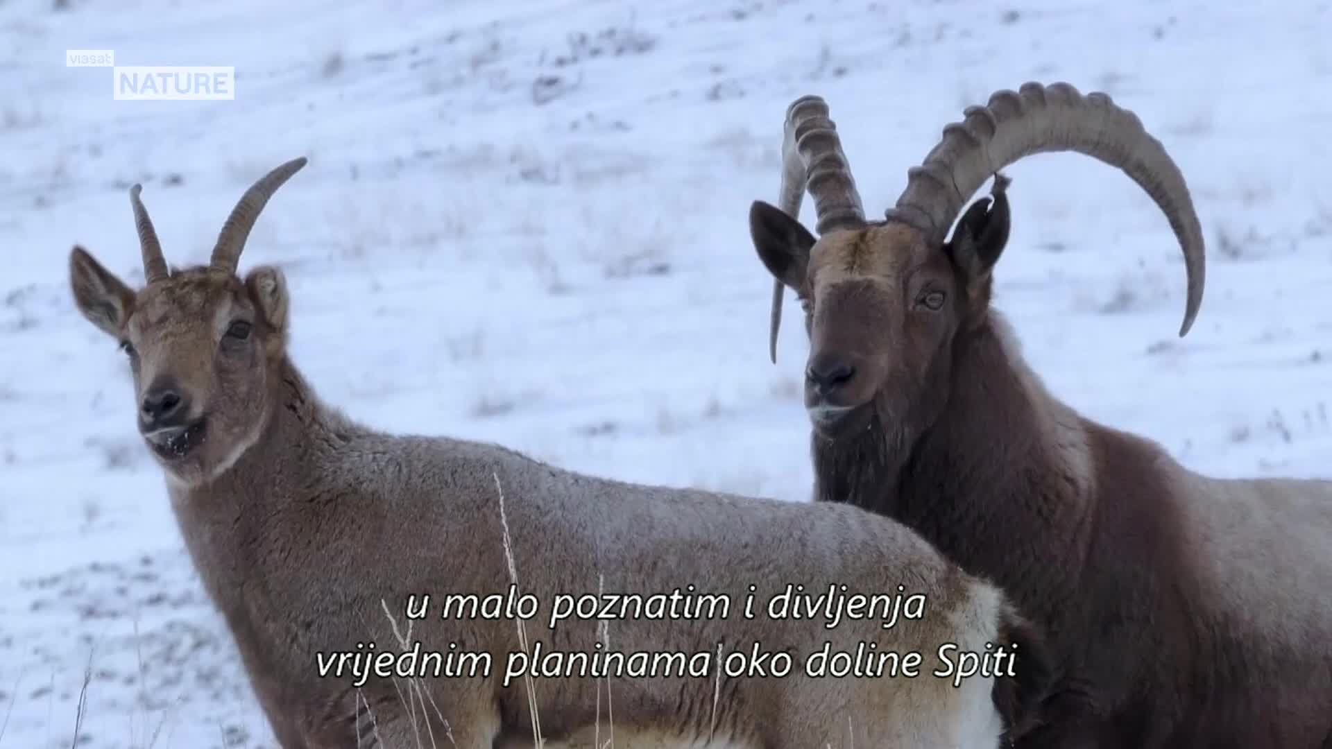ViasatNature