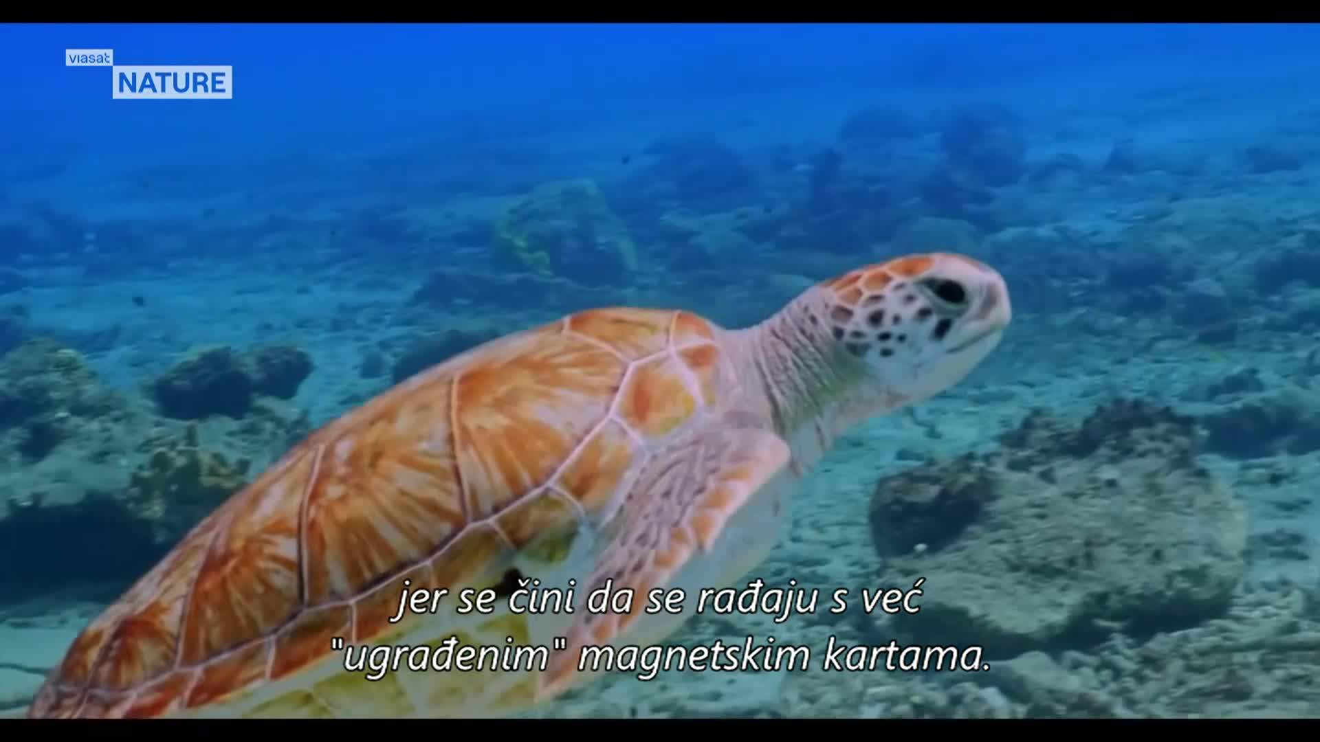 ViasatNature