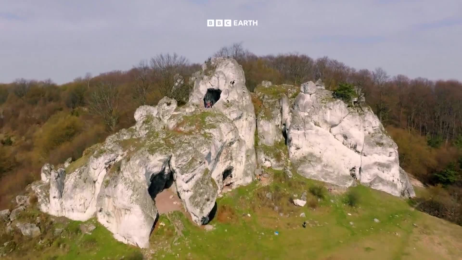 BBCEarth