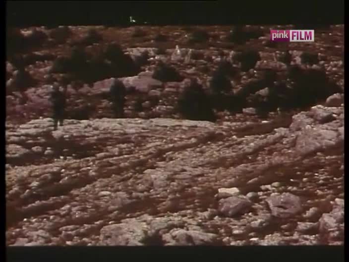 PinkFilm