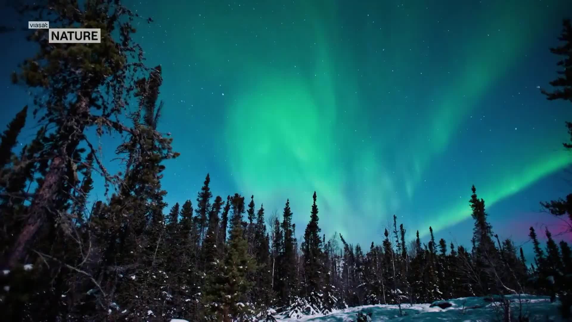 ViasatNature