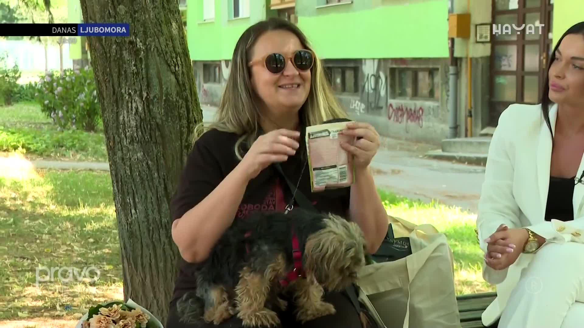hayat