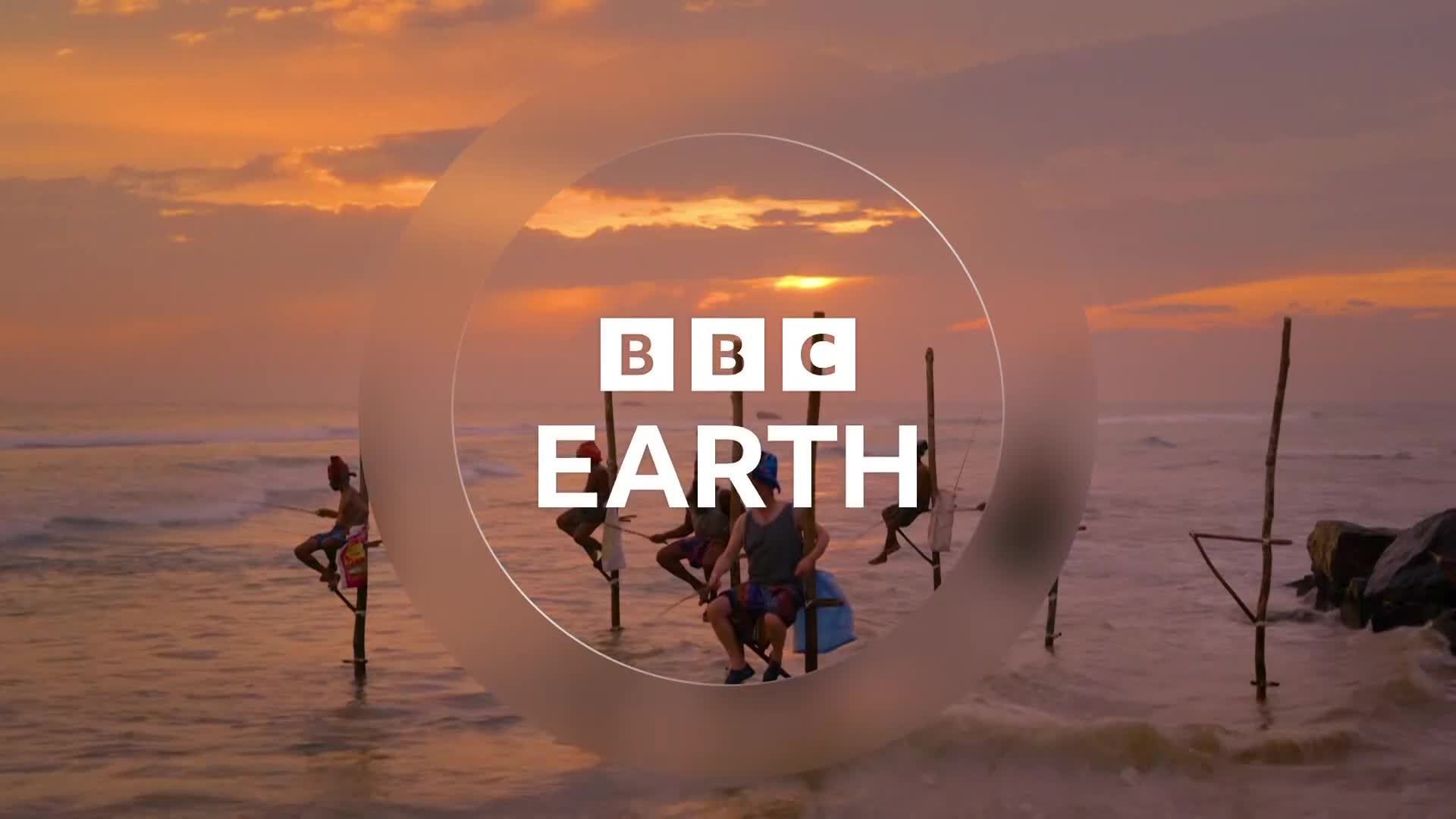 BBCEarth
