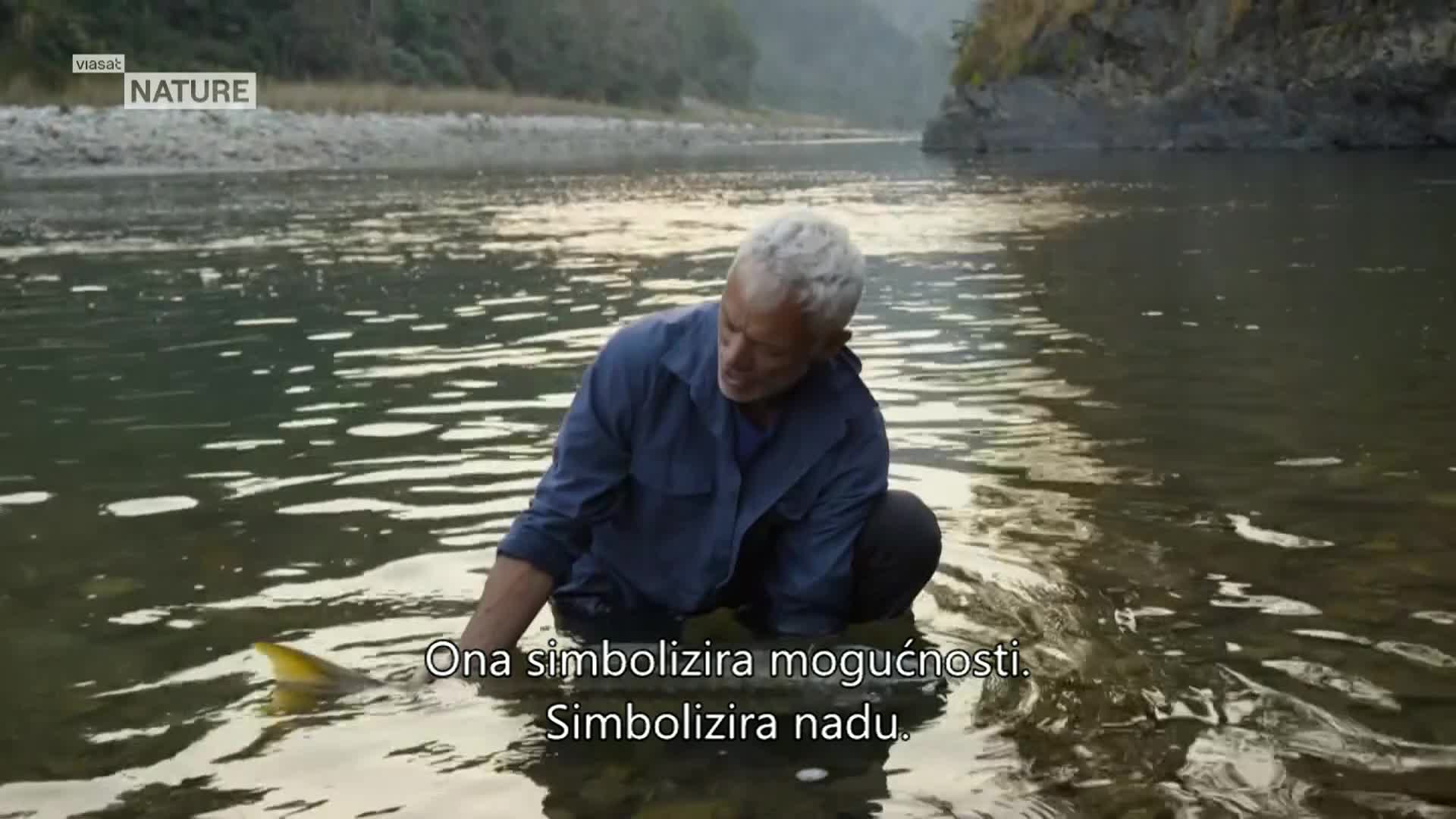 ViasatNature