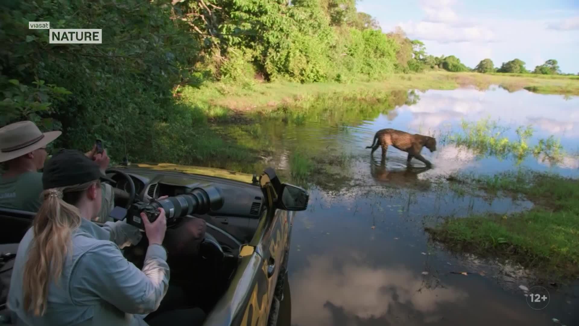 ViasatNature