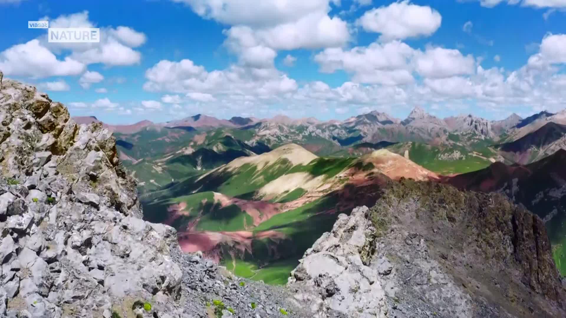 ViasatNature
