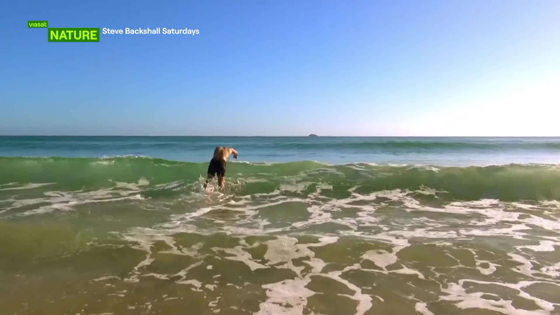 ViasatNature