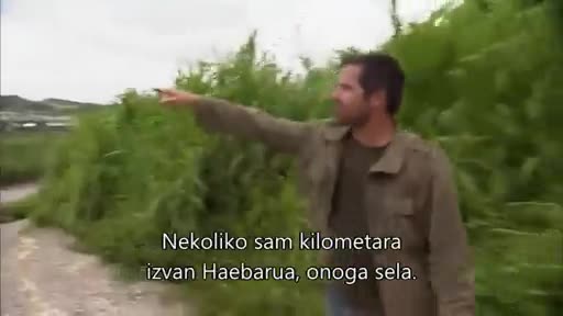 History2