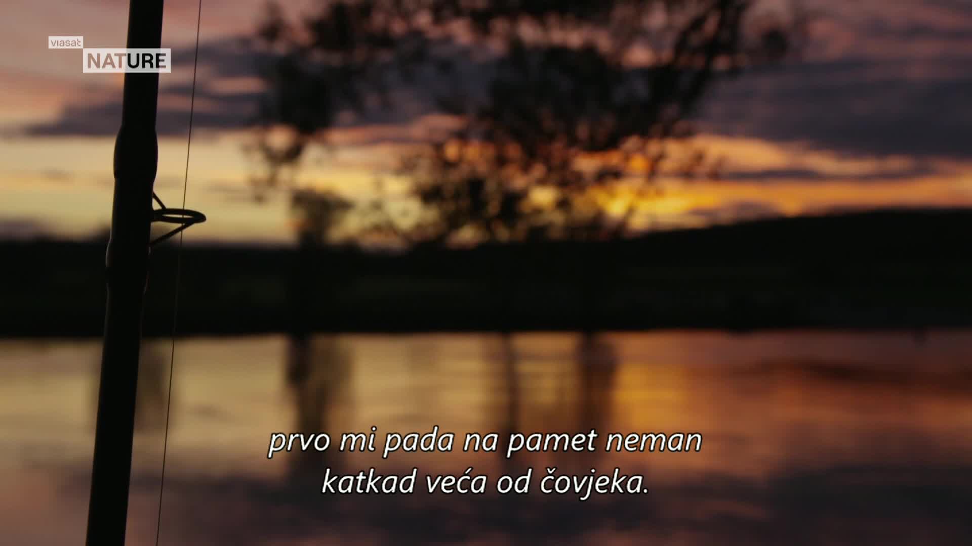 ViasatNature