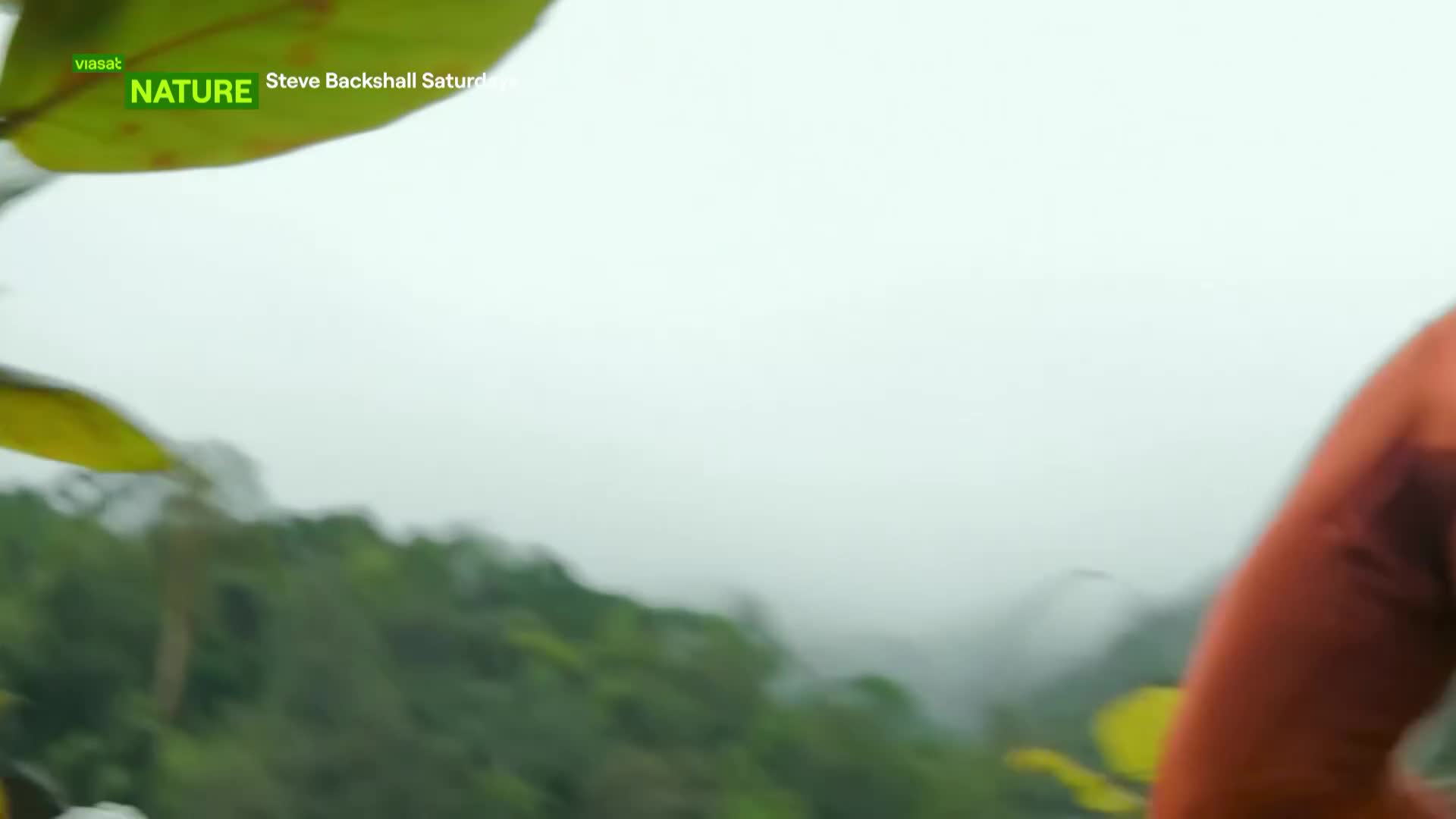 ViasatNature