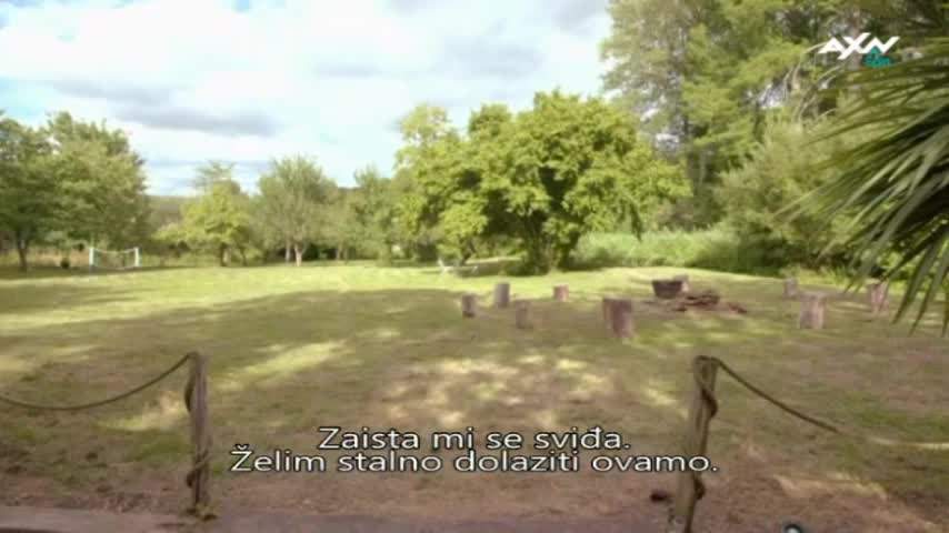 AXNSpin