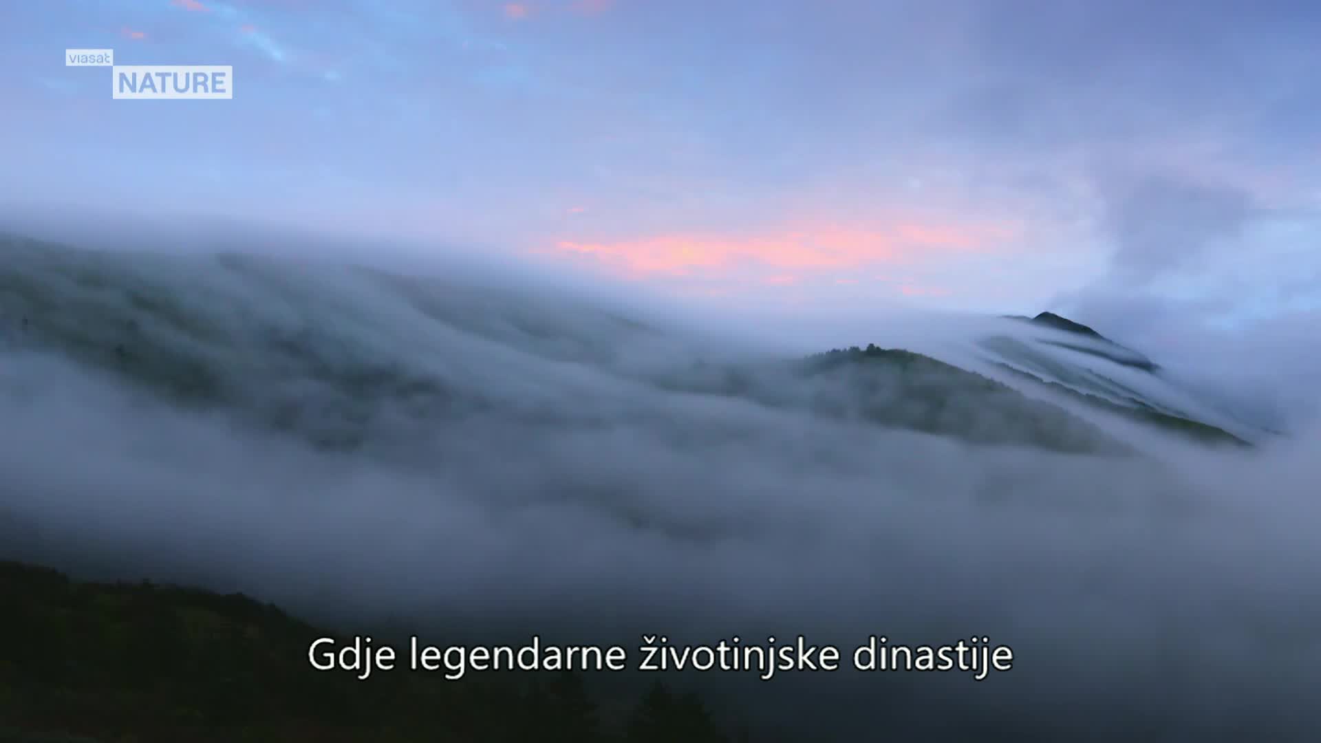 ViasatNature