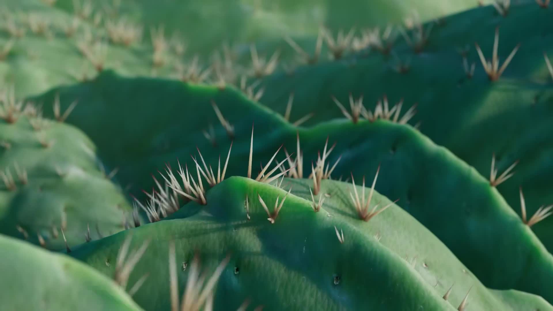 ViasatNature