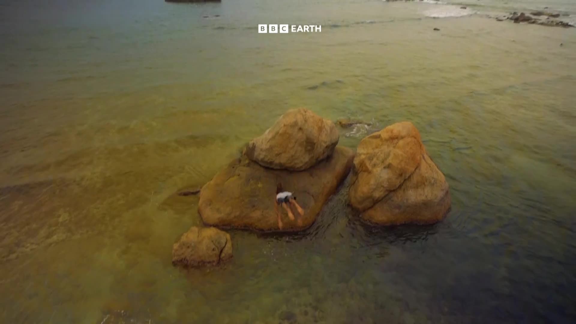 BBCEarth
