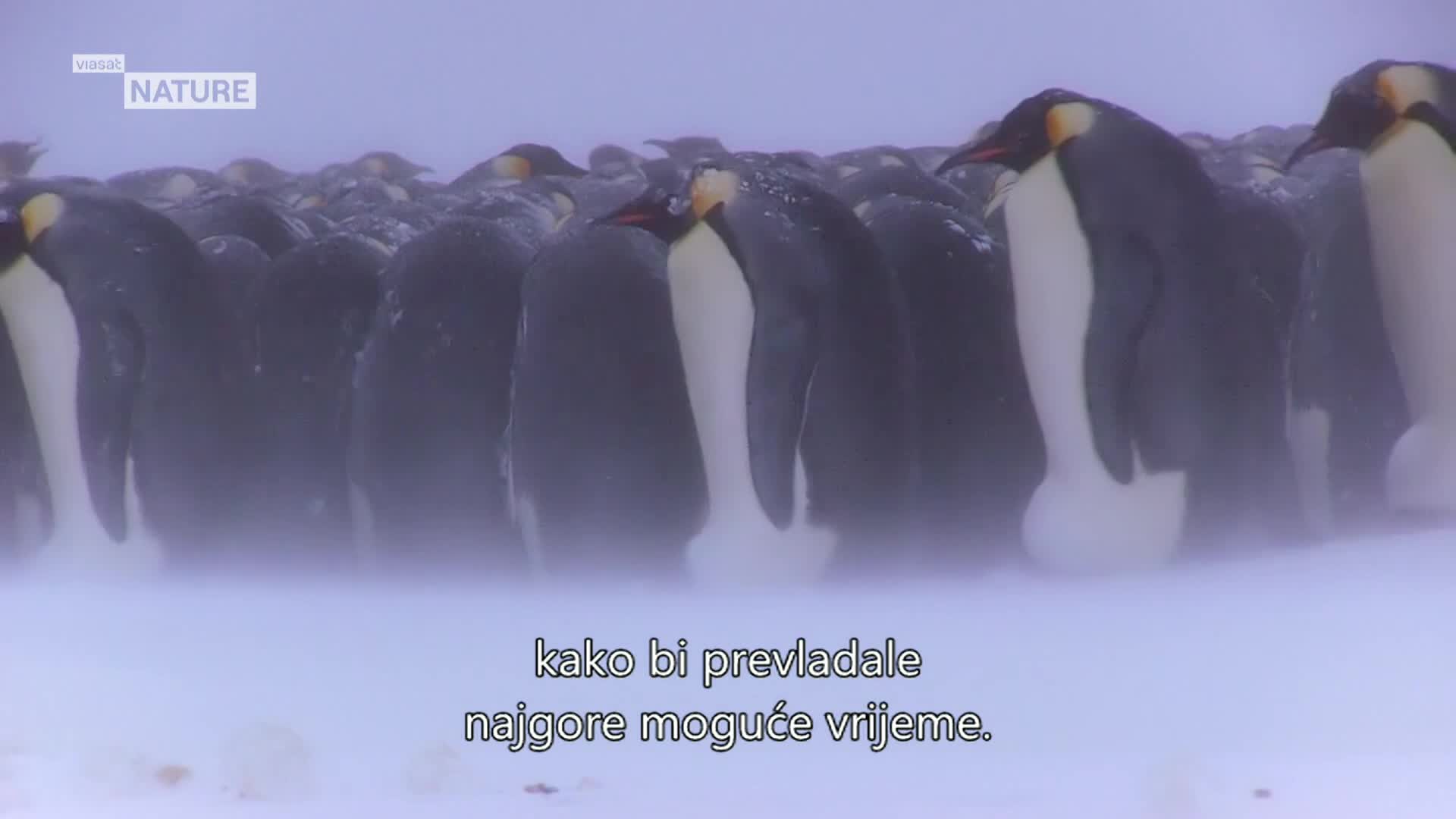 ViasatNature