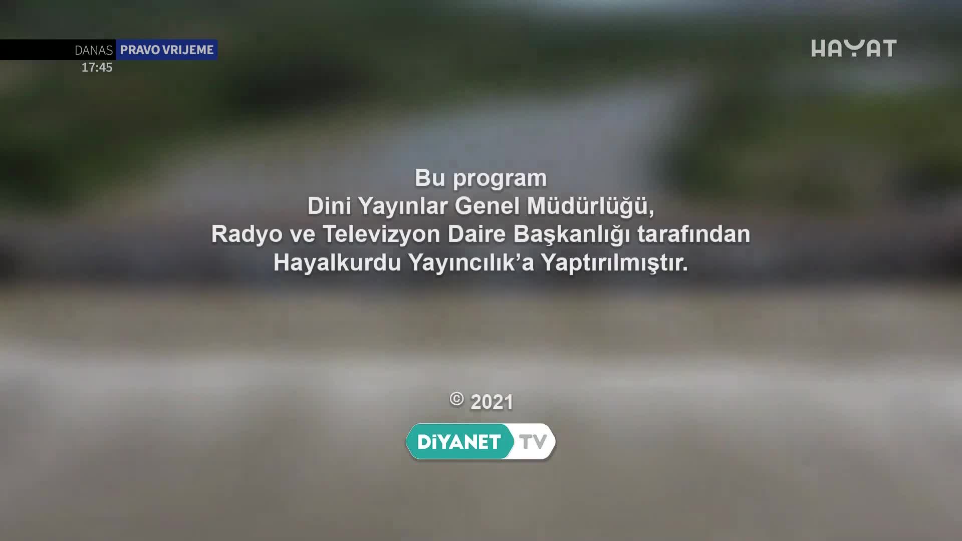 hayat