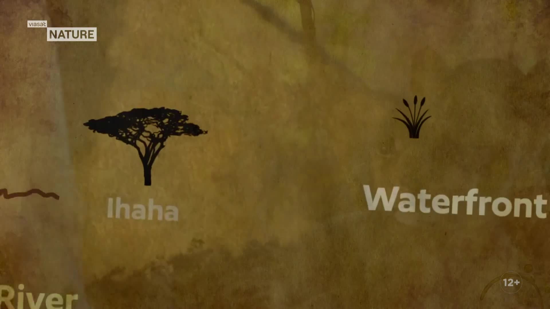 ViasatNature