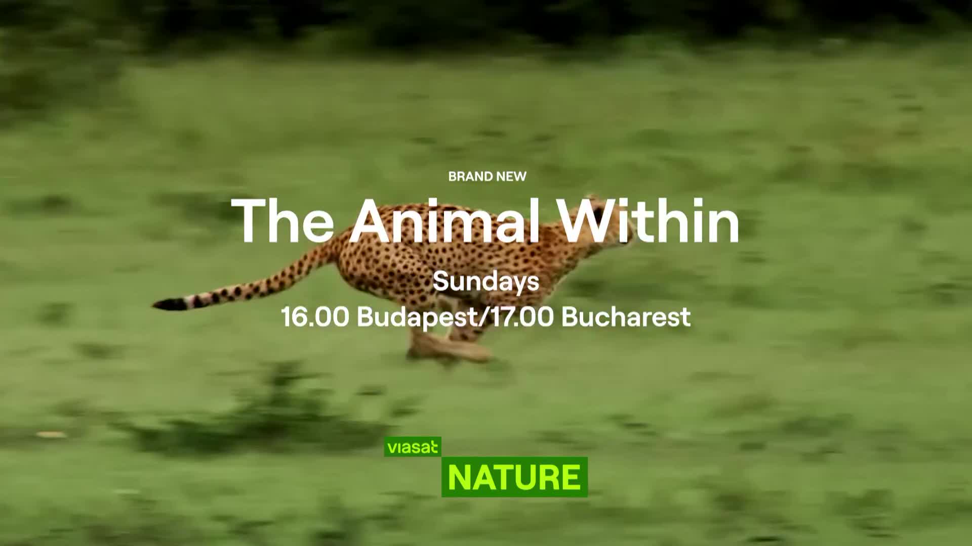 ViasatNature
