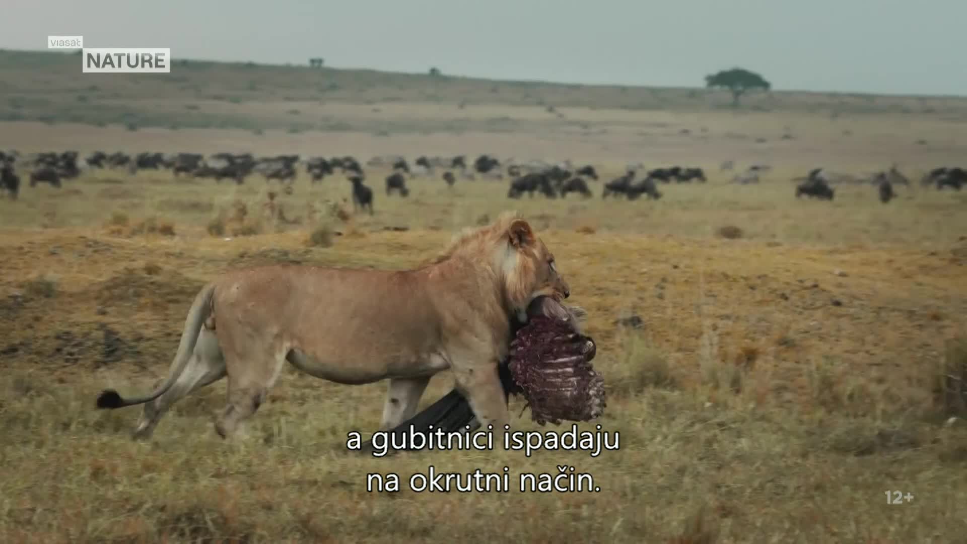 ViasatNature