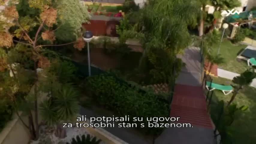 AXNSpin