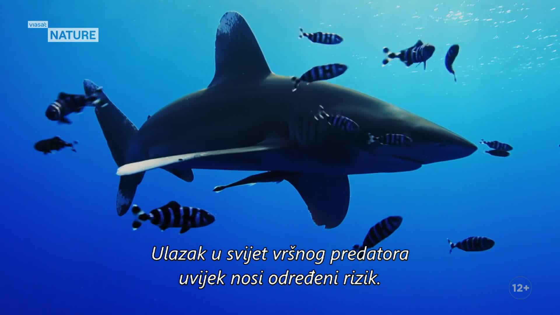 ViasatNature