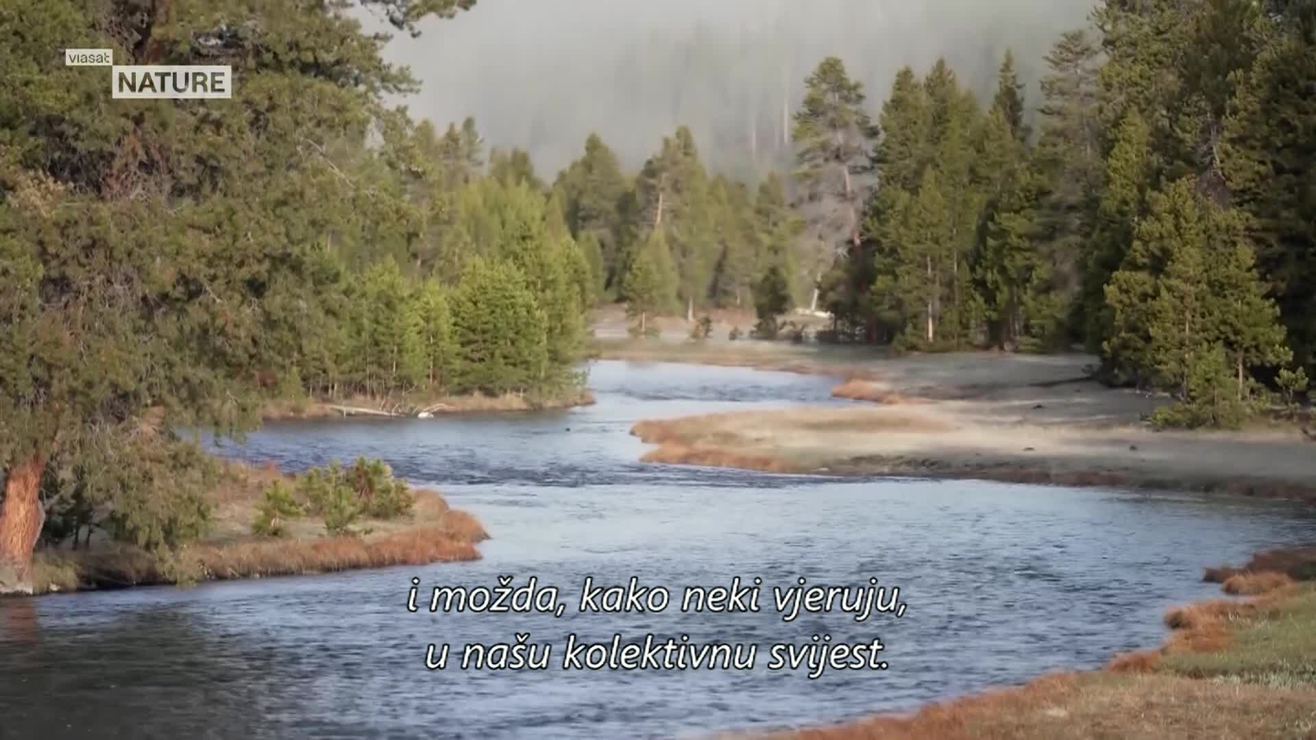 ViasatNature