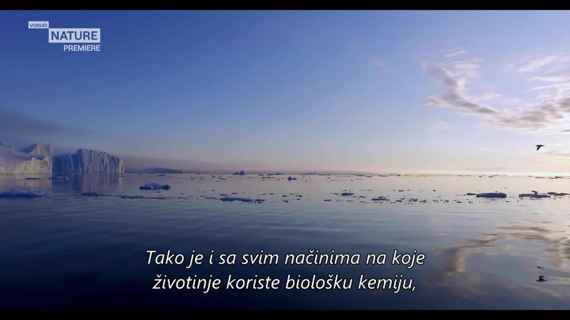 ViasatNature