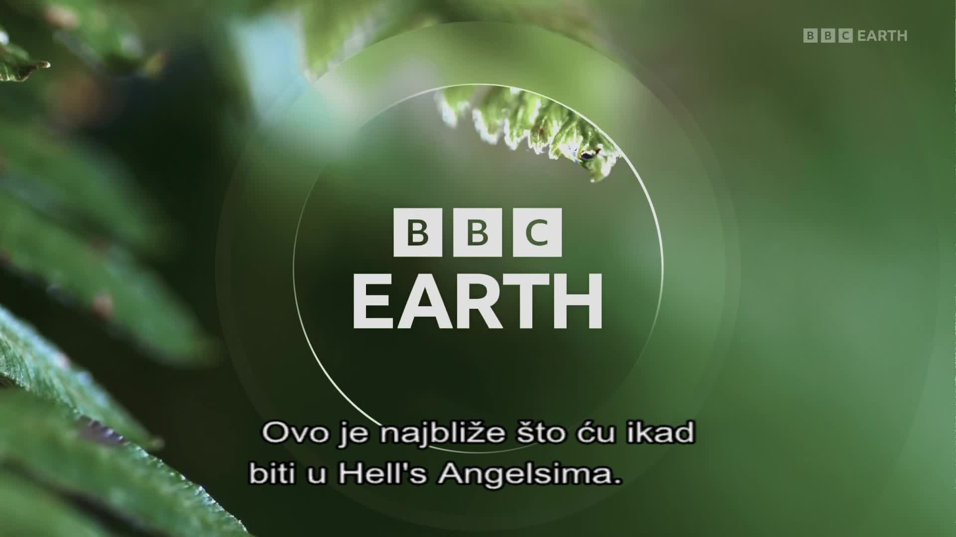 BBCEarth