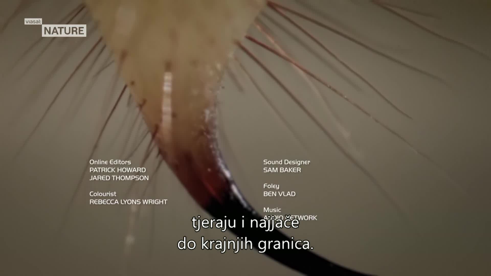ViasatNature