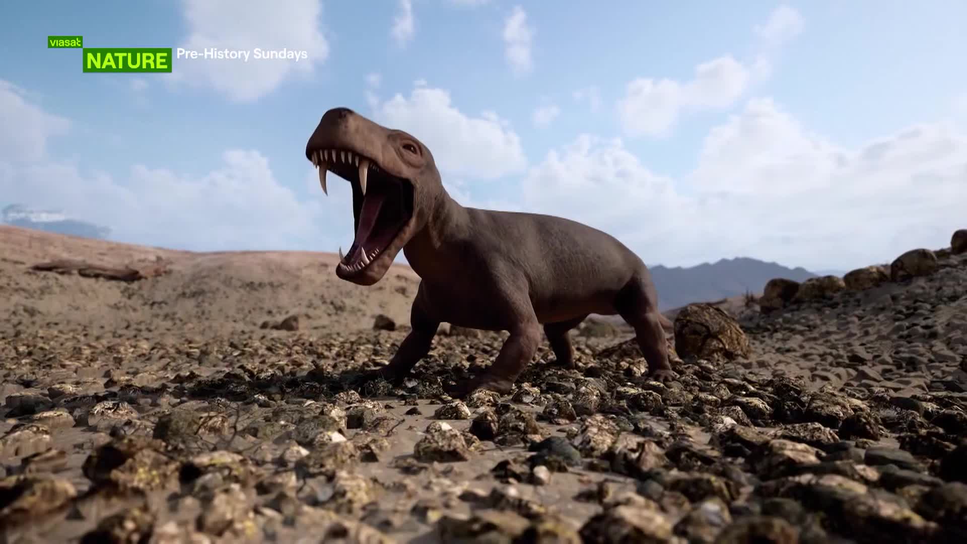 ViasatNature