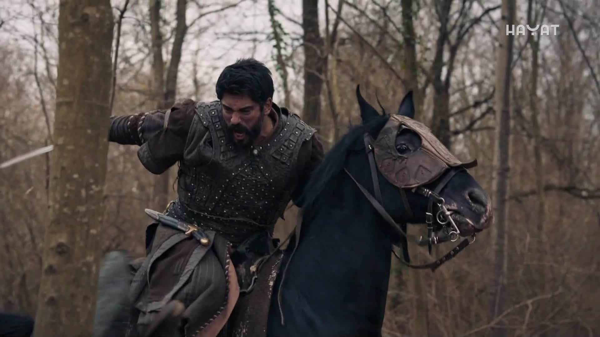 hayat