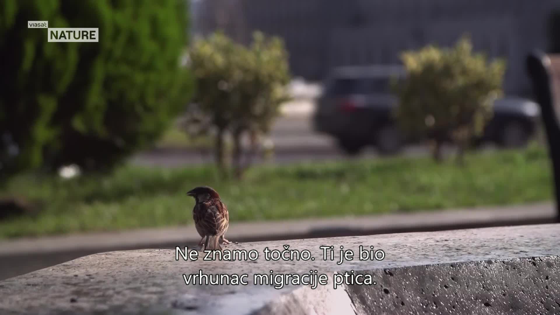 ViasatNature
