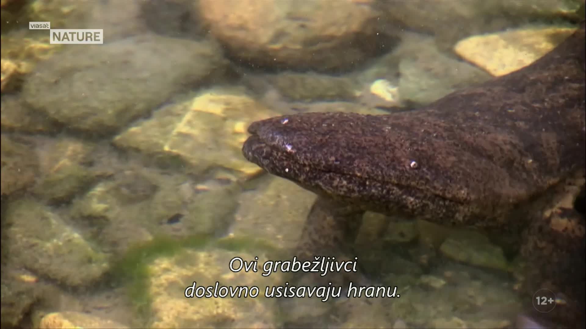 ViasatNature