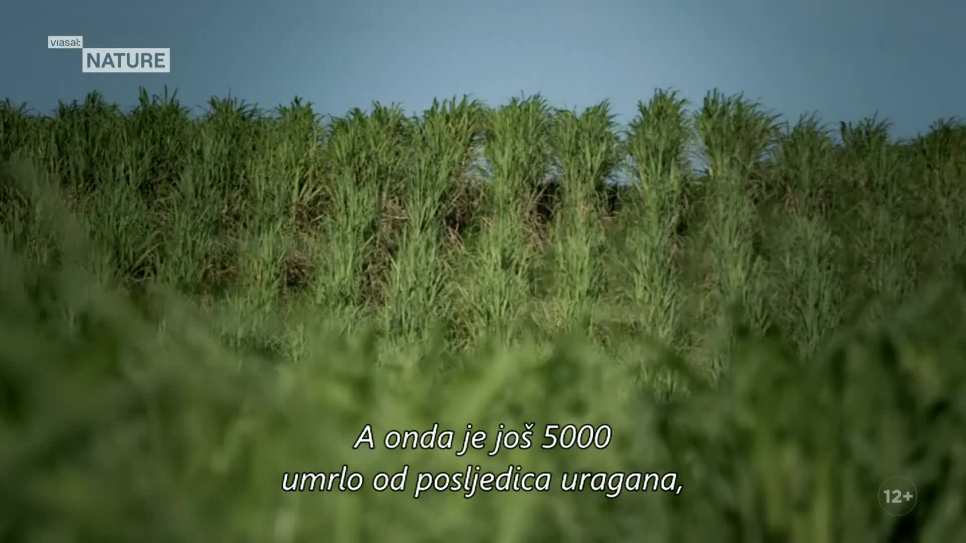 ViasatNature