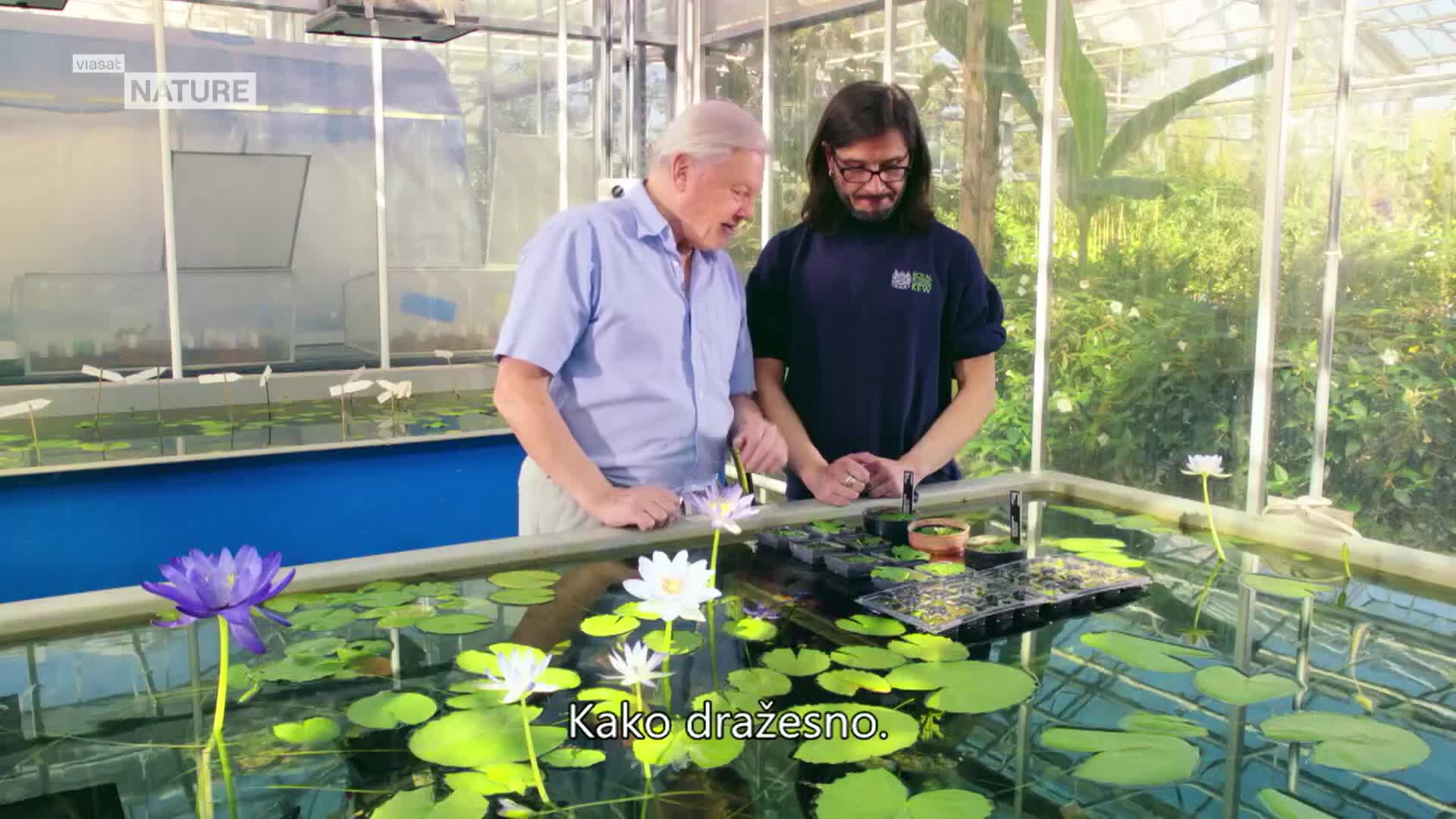 ViasatNature