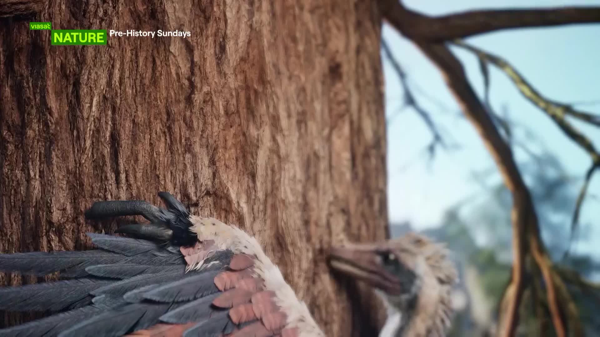 ViasatNature