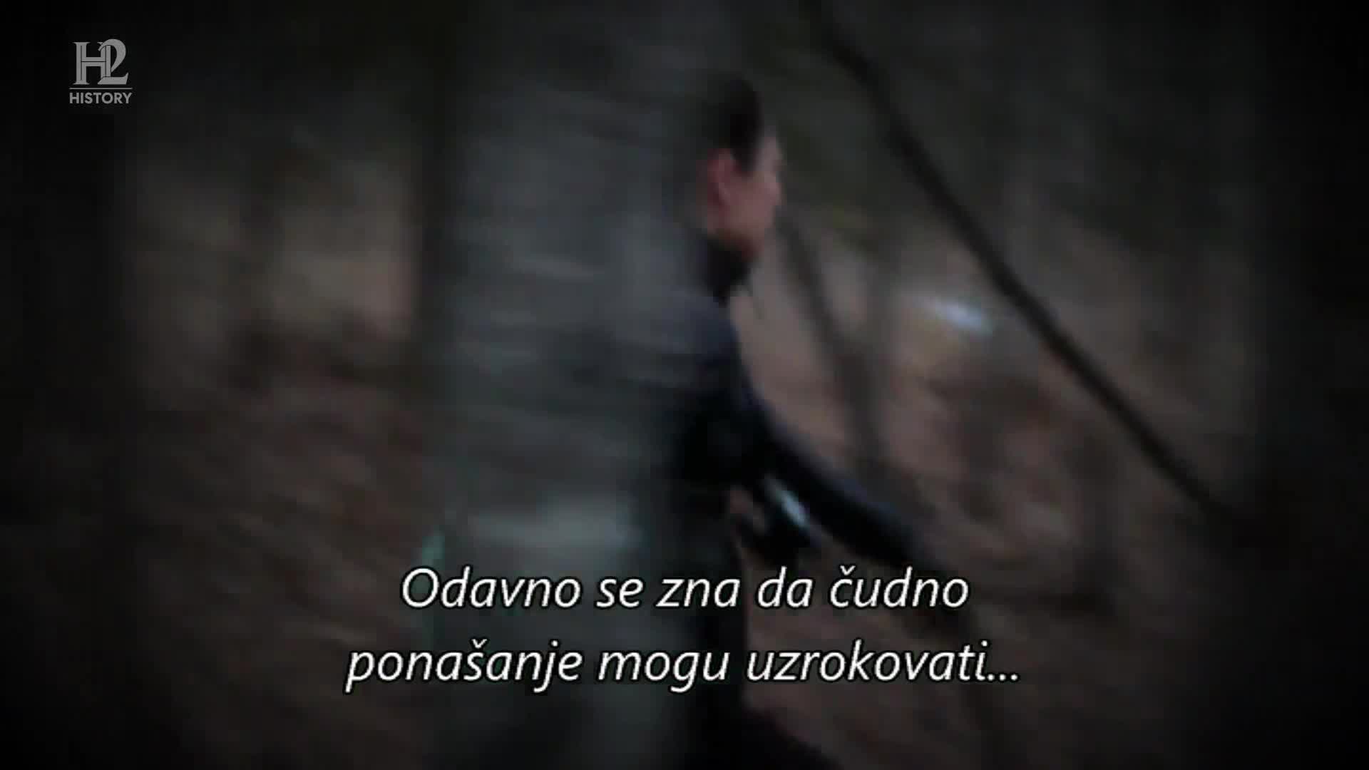 History2