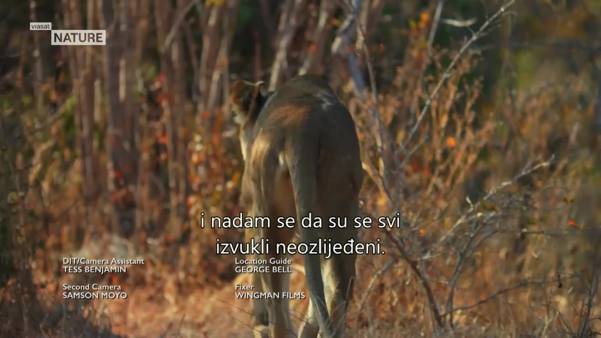 ViasatNature