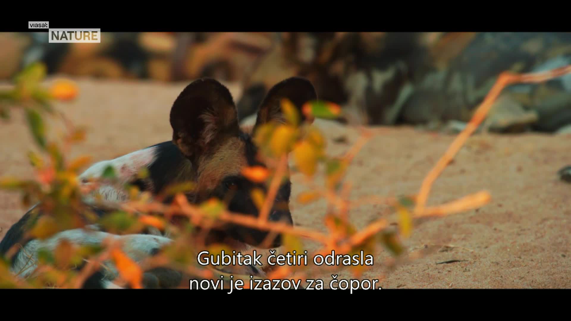 ViasatNature